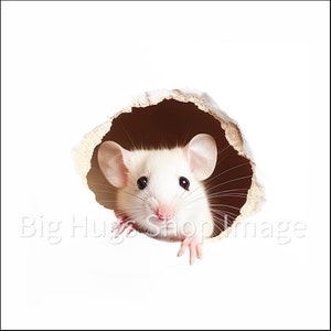 May include: A white mouse peeks out of a hole in a light brown surface. The mouse has large ears, black eyes, and pink paws. The background is white.