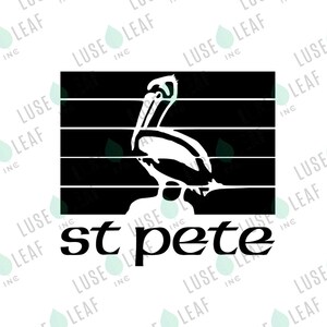 File di download digitale SVG e pdf di St Pete Pelican per cricut silhouette e altre macchine maker
