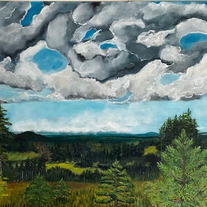 May include: An oil painting depicts a landscape with a dramatic sky. The sky is filled with large, gray clouds with patches of blue peeking through. Below, a green forest and meadow stretch to the horizon. The painting is framed.