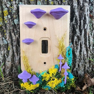 Light Switch Cover