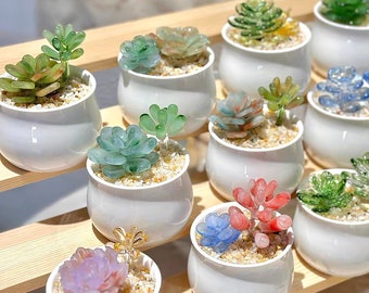Glazen succulente potplanten, glazen planten, DIY handgemaakte glaskunst kunstmatige kamerplant bureauaccessoires vetplanten minnaar vadersdag