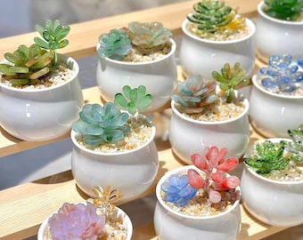 Plantes succulentes en verre en pot, plantes en verre, bricolage fait main art du verre plante d'intérieur artificielle accessoires de bureau fête des pères amoureux des plantes succulentes