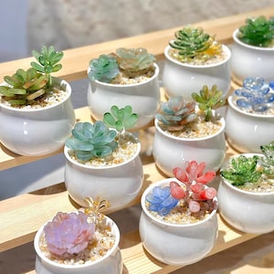 Glass Succulents Potted Plants, Glass Plants, Handmade Glass Art Artificial House Plant Desk Accessories Succulents Lover Gift for Her