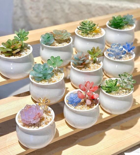 Glas Sukkulenten Topfpflanzen, Glaspflanzen, handgefertigte Glaskunst  knstliche Zimmerpflanze Schreibtischzubehr Sukkulenten Liebhaber Geschenk  fr sie - Etsy.de