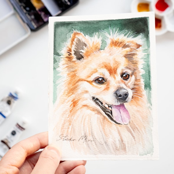 Mini Pomeranian dog painting,  Watercolor puppyportrait, 4x6 original gift for Mother's day