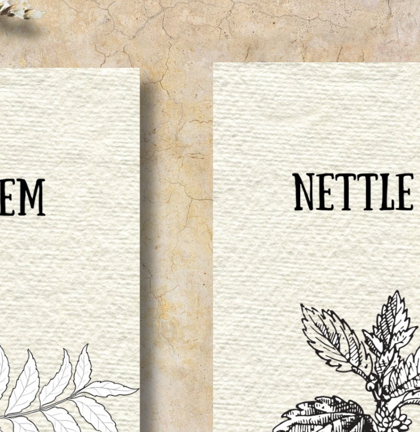 Ayurveda Herbs Bookmarks, Set of 20, Ayurveda Herbs, Spices, Vegetables ...
