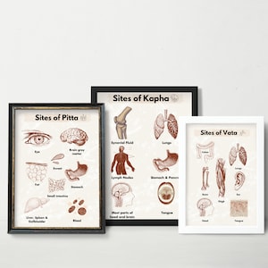 Ayurveda Sites of Vata, Pitta, Kapha, Ayurveda Poster Set of 3, Ayurveda digital art, Ayurveda Print, Yoga Wall Art, Instant Download