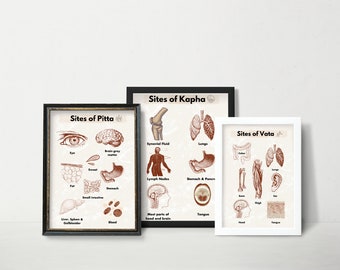 Ayurveda Dosha Sites Poster Set: Vata, Pitta, Kapha (Digital Download)