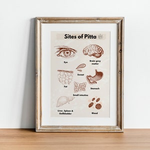 Digital Ayurveda Pitta Poster, Sites of Pitta, Ayurveda Posters, Ayurveda Digital art, Yoga Art Printable, Wall Art decor, Digital download