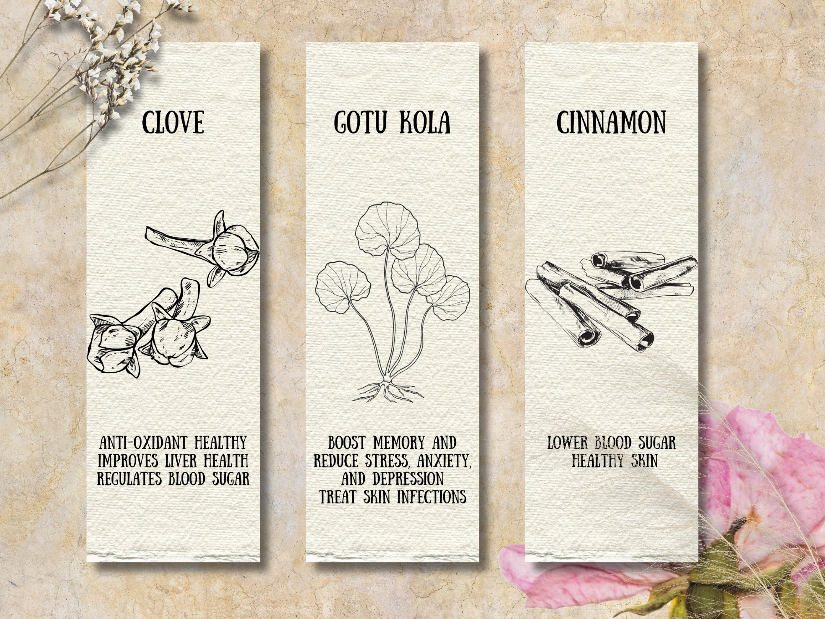 Ayurveda Herbs Bookmarks, Set of 20, Ayurveda Herbs, Spices, Vegetables ...