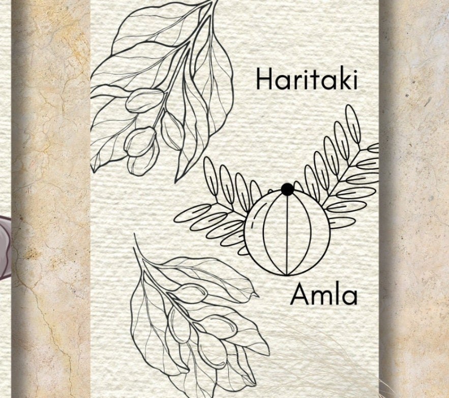 Ayurveda Herbs Bookmarks, Set of 20, Ayurveda Herbs, Spices, Vegetables ...