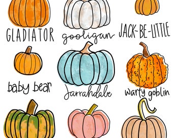 9 Pumpkin Types Fall Pumpkins Png, Pumpkin Varieties, Fall Sublimation Design Png, Pumpkin Png, Halloween Png, Autumn, Instant Download