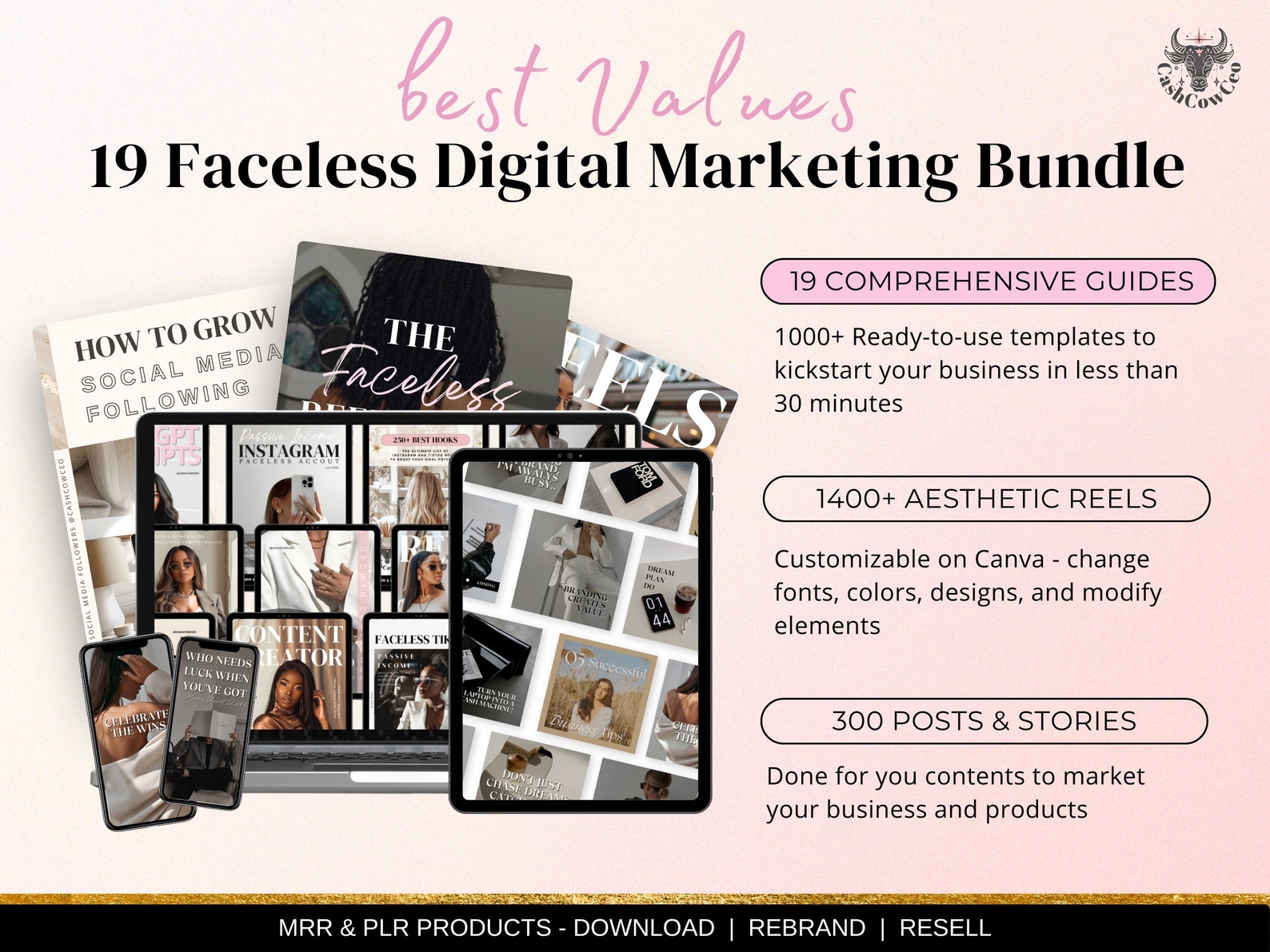 Ultimate Digital Marketing Guide MRR PLR Digital Products Master Resell ...