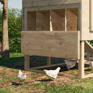 May include: A wooden chicken coop with a nesting box and a ramp. The coop is raised off the ground on four legs. There are several chickens in the yard around the coop.