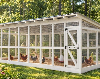 Planos para un gran gallinero de 10x24 pies para 25-30 gallinas (Descarga en PDF)