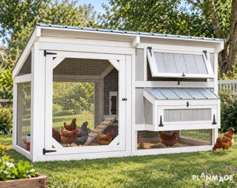 Planos para construir un gallinero casero para 6 gallinas (descarga digital en PDF)