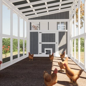 Walk-in Chicken Coop Plans / Chicken Shed Plans - Best for 20-24 Chickens and Plywood Panel Siding  / Large Chicken Coop Plans DIY / Chicken Coop Plans with Run / Hen House Plans / Small Farm PDF Blueprint - White Frame Chicken Run