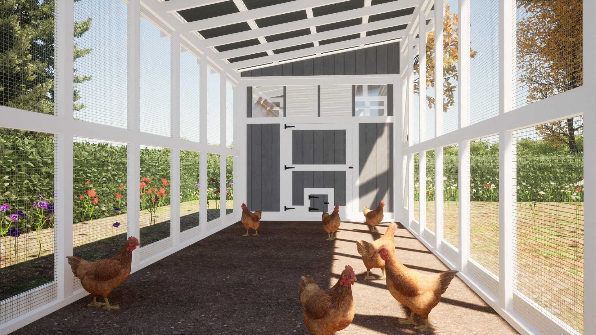 Walkin Chicken Coop Plans 24 Chickens PDF Chicken Shed Etsy Australia
