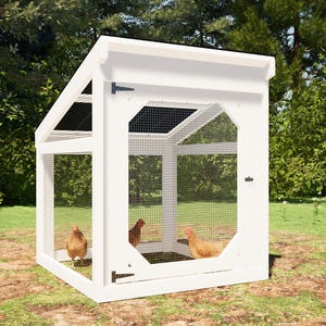 Small Chicken Run with Roof Plans 51x55 for 3 Chickens DIY Chicken Pen Plans PDF Download