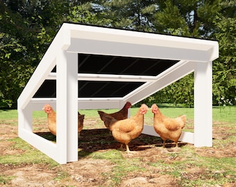 Chicken Shelter Plans: DIY Rain Shelter Blueprint (PDF Download)