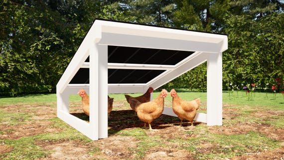 Chicken Shelter Plans: DIY Rain Shelter Blueprint (PDF Download