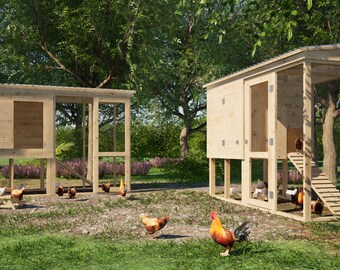 小型鶏小屋の設計図 8 羽の鶏と走り場付き 10 x 4 フィート - PDF 設計