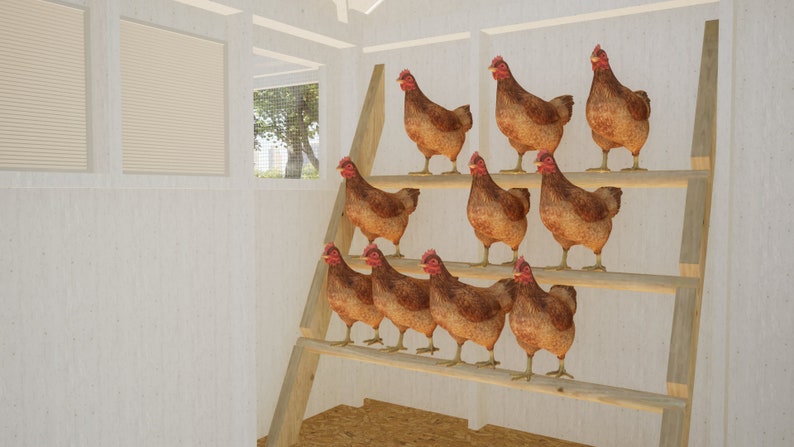 How to build Chicken Coop Plans 20-24 Chickens / Large Chicken Coop Plans DIY / Chicken Coop Plans with Run / Chicken Coop Plans with Run PDF Blueprint - Chicken Roost Plans with poles and roost plates for chickens to stand