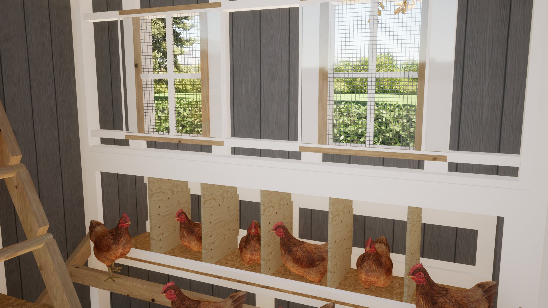 Walkin Chicken Coop Plans 24 Chickens PDF Chicken Shed Etsy Australia