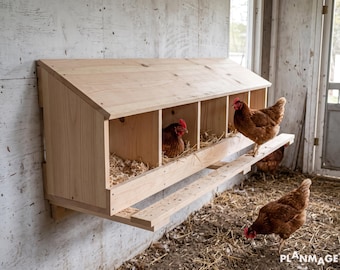 Chicken Nesting Box Plans: DIY for 5-15 Hens (PDF Download)