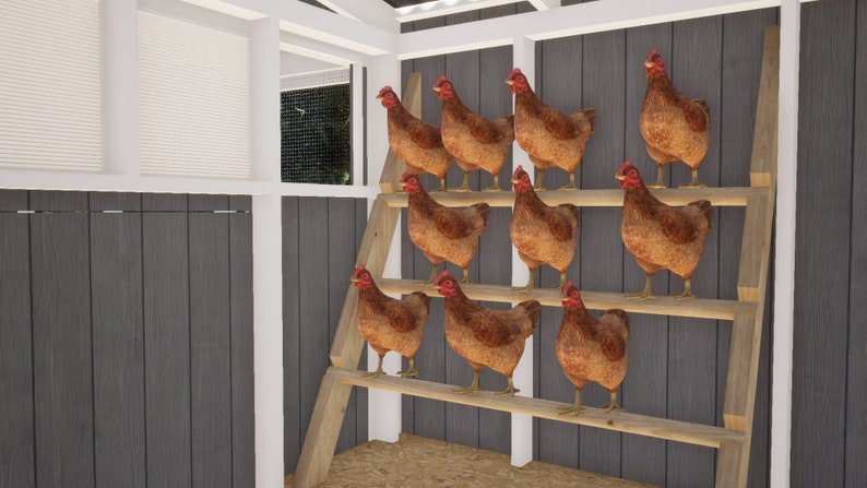 Walk-in Chicken Coop Plans / Chicken Shed Plans - Best for 20-24 Chickens / Large Chicken Coop Plans DIY / Chicken Coop Plans with Run / Hen House Plans / Small Farm PDF Blueprint - Chicken Roost Plans with poles and roost plates for chickens