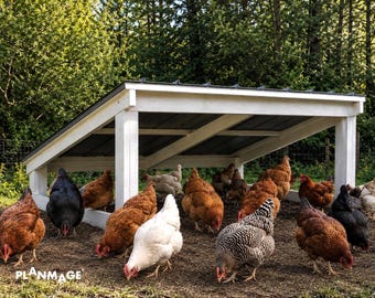 Chicken Shelter Plans for up to 20 Chickens: DIY Rain Shelter Blueprint (PDF Download)