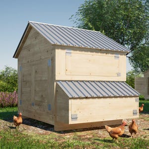 Small Chicken Coop Plans 6x5: DIY Hen House (PDF Download)