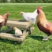 Chicknic Table Plans 16x17 in DIY Chicken Picnic Table PDF Download - Etsy