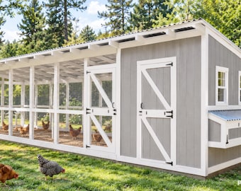 Walk-in Chicken Coop Plans: Large Shed Roof Design (PDF Download)
