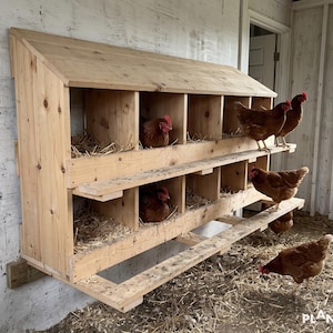 Chicken Nesting Box Plans: DIY for 15-30 Hens (PDF Download)
