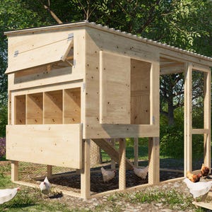 Walk-in Chicken Coop Plans 10 Chickens with Run 10x6 ft - PDF Plans Digital Download