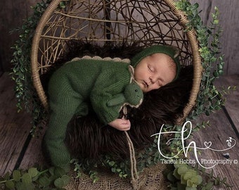 May include: A newborn infant wearing a dark green knitted dinosaur-themed onesie with a matching hood and a small plush dinosaur toy, resting inside a teardrop-shaped woven rattan hanging chair decorated with green foliage and dark brown faux fur.