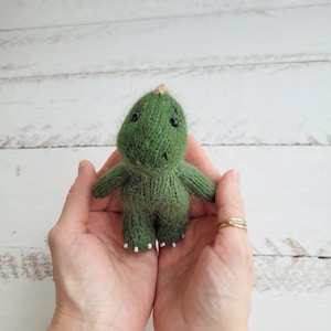 May include: A small green knitted dinosaur toy with black eyes and a white horn. The dinosaur is held in two hands.