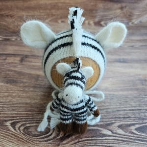 Zebra and newborn hat / Africa photo props