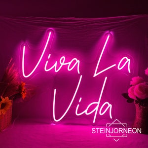 Viva 2024 night light