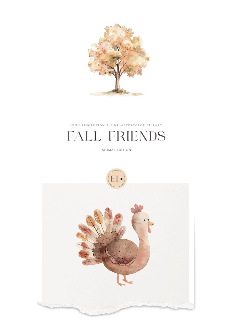 May include: Watercolor illustration of a turkey with brown and pink feathers. The turkey is standing on a white background. The illustration is part of a set of fall animal illustrations.