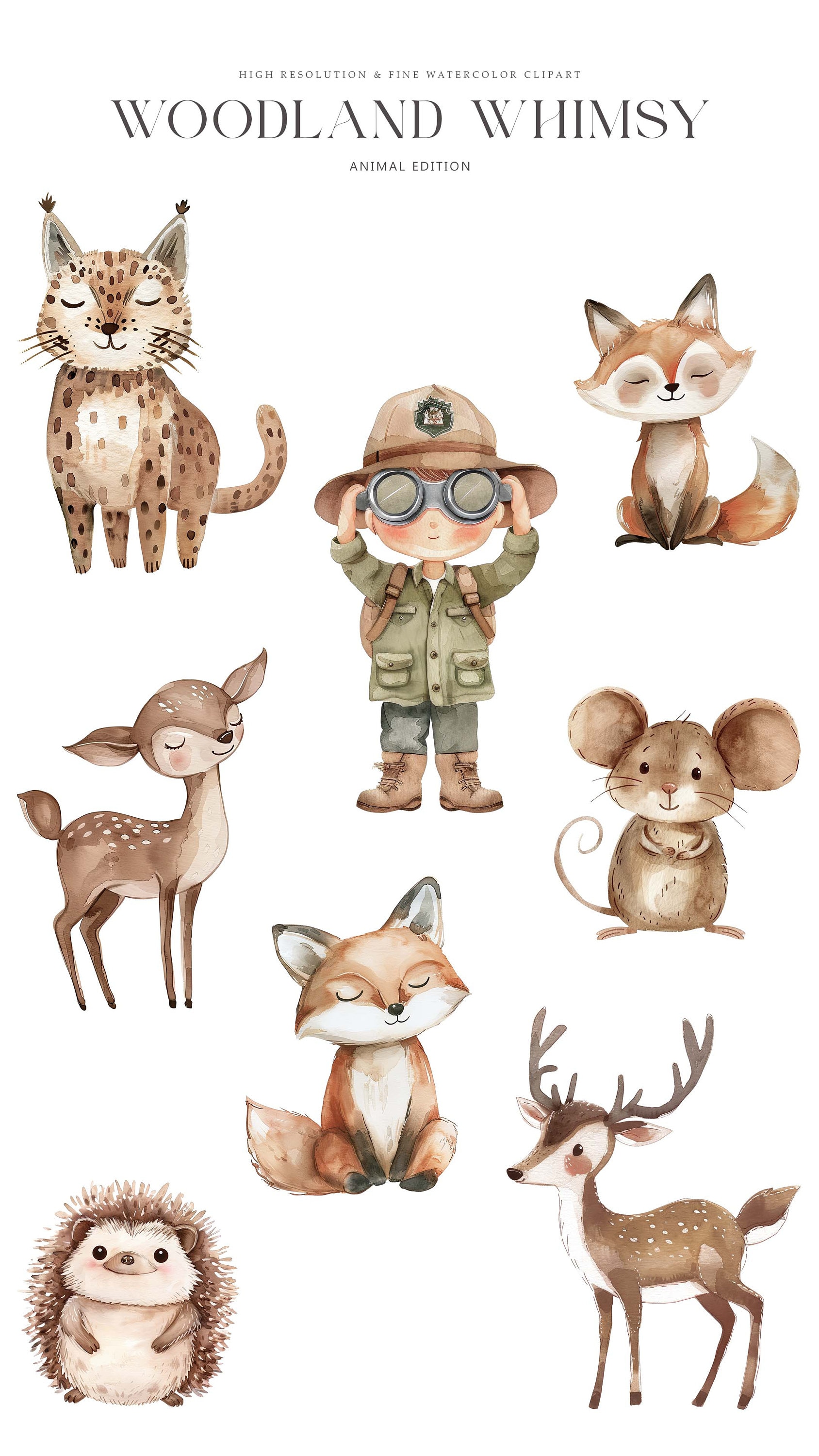 Cute Woodland Animals Clipart - Watercolor Clipart - Animals Clipart ...
