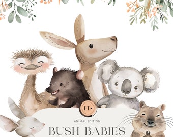 Simpatici animali australiani Clipart - Clipart acquerello - Clipart Koala - Animali australiani - Clipart canguro - LICENZA COMMERCIALE INCLUSA