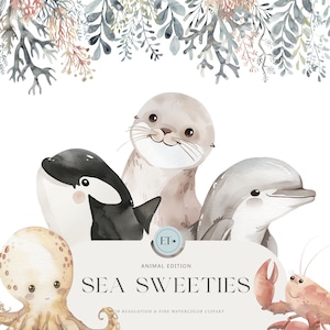 Schattige oceaandieren clipart - aquarel clipart - zeedieren - onderwaterdieren - dierenkwekerij - schattige dieren - commerciële licentie INBEGREPEN