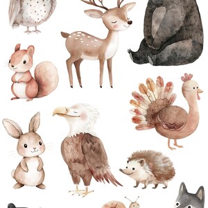 May include: Watercolor illustrations of various woodland animals, including a deer, owl, squirrel, rabbit, eagle, turkey, hedgehog, snail, fox, wolf, and otter. The animals are all depicted in a cute and whimsical style, with soft colors and delicate details. The illustrations are perfect for use in children's books, greeting cards, or other creative projects.
