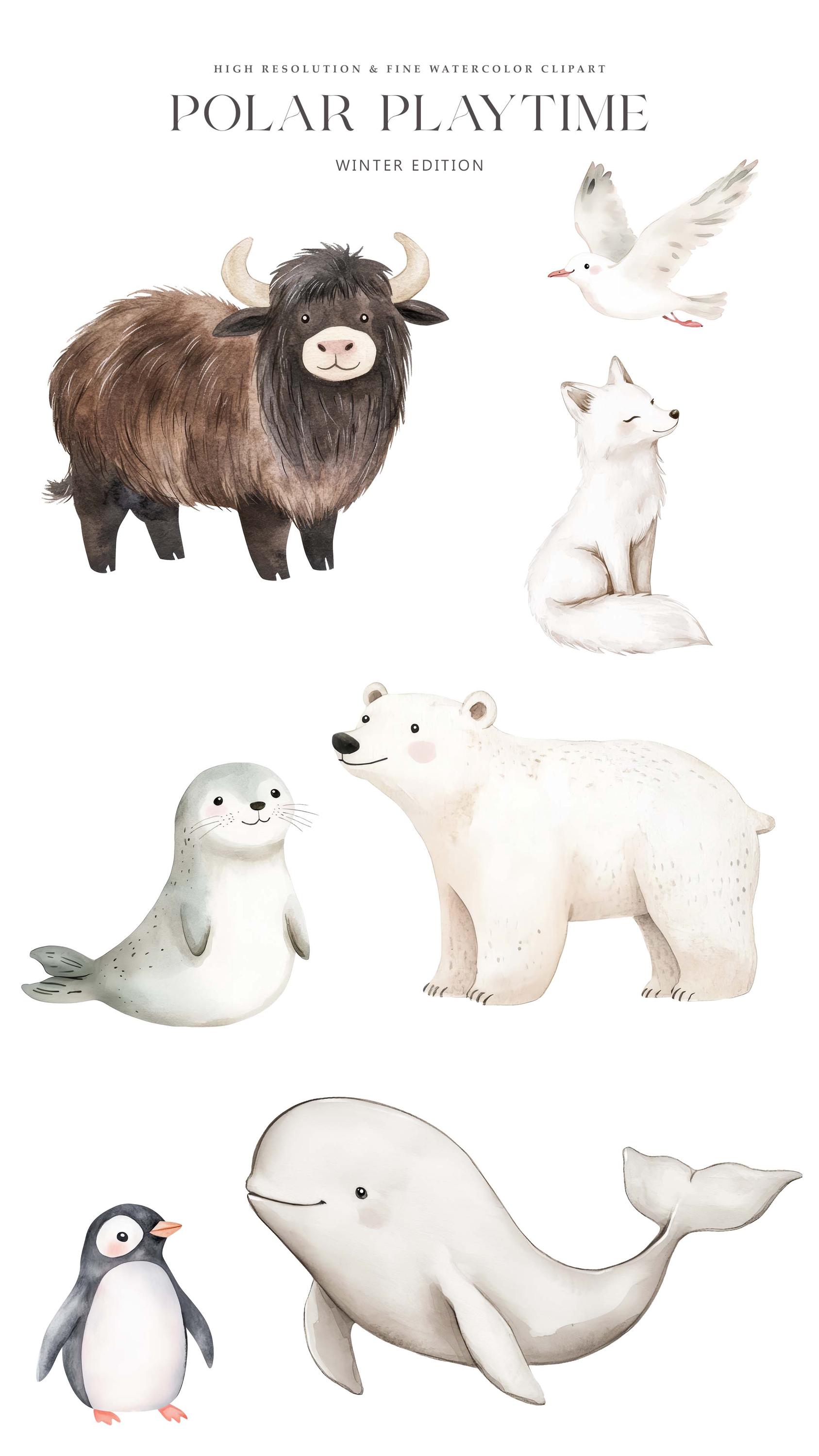 Cute Arctic Animals Clipart - Watercolor Clipart - Polar Wildlife ...