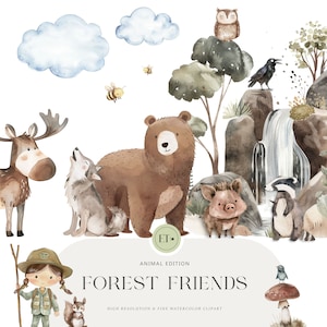 Waldtiere Kinderzimmer Clipart - Aquarell Clipart - Waldtiere - Eichhörnchen Clipart - KOMMERZIELLE LIZENZ ENTHALTEN