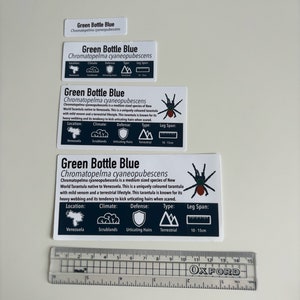 SMALL Custom Invert/Reptile Enclosure Labels ANY species, ANY common name customisation image 8