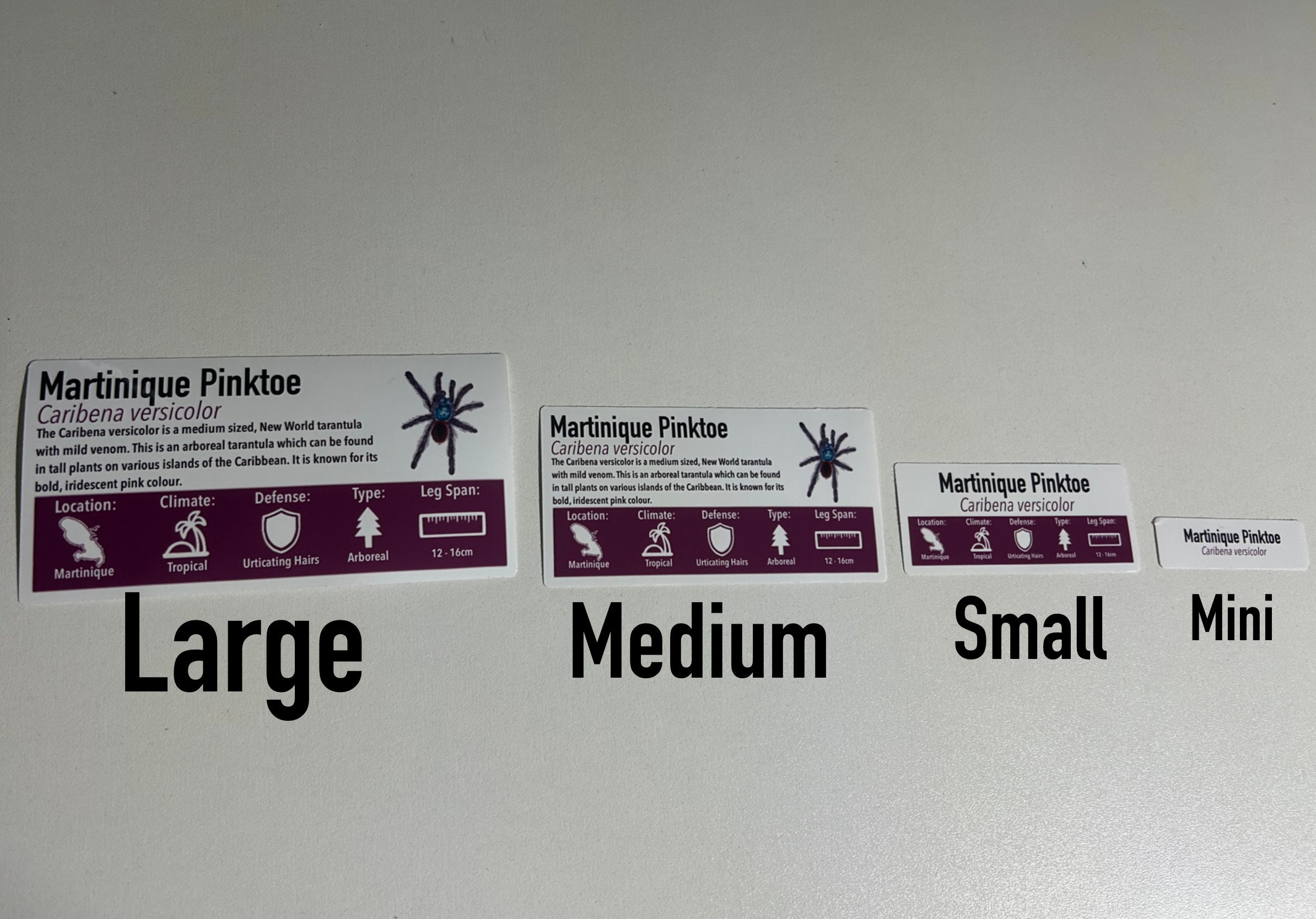 Custom Tarantula Cutout Stickers/Labels