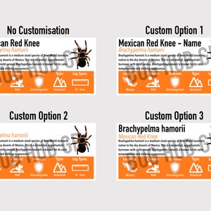 MEDIUM Custom Invertebrate/Reptile Enclosure Labels ANY species, ANY common name customisation image 7